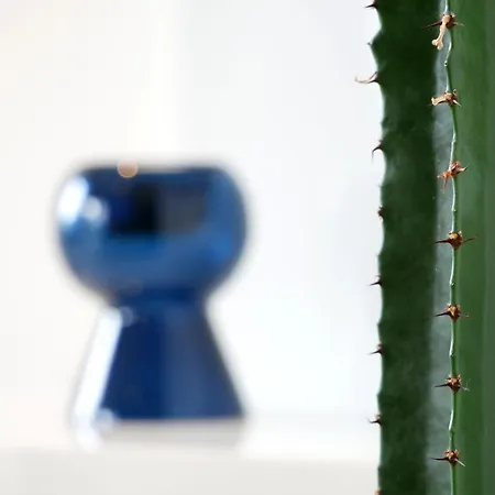 Dorfleben Apartmán *