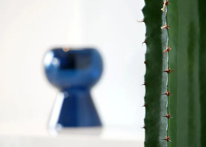 Dorfleben Apartamento *