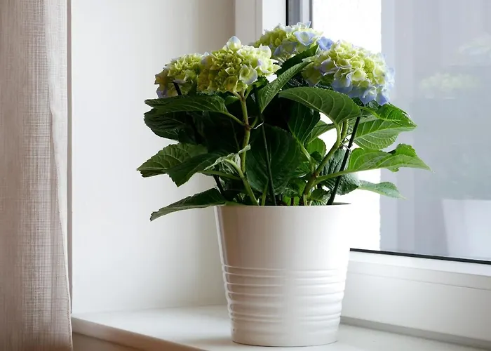 Dorfleben Apartamento *